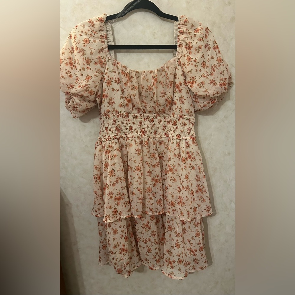 Trixxi Cream and Red Floral Mini Dress